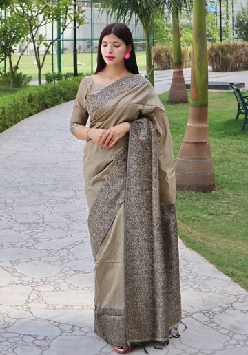 Handloom Raw Silk Grey Saree