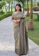 Handloom Raw Silk Grey Saree