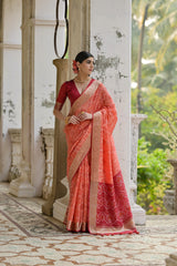 Soft Desi Raw Silk saree