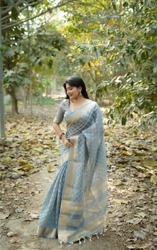 Premium Soft Kalyani Silk Grey  Saree