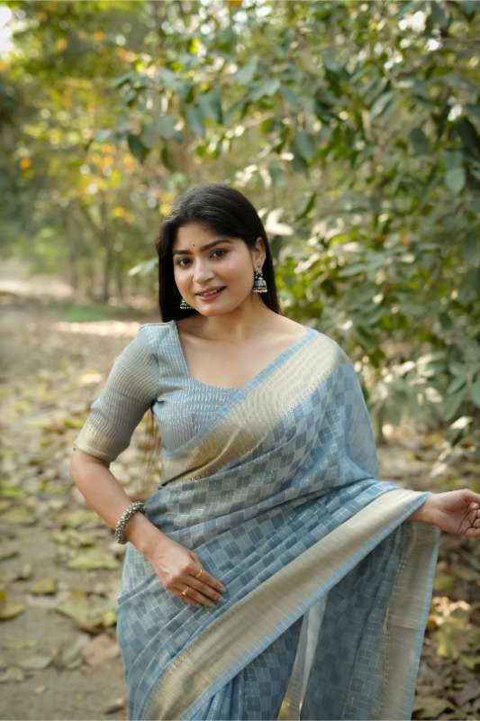 Premium Soft Kalyani Silk Grey  Saree